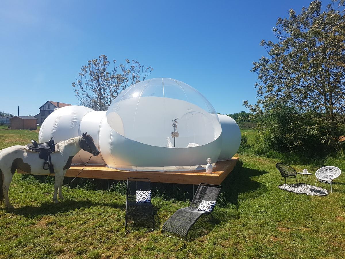 Gasthaus Coachella Lanouaille Exterior foto
